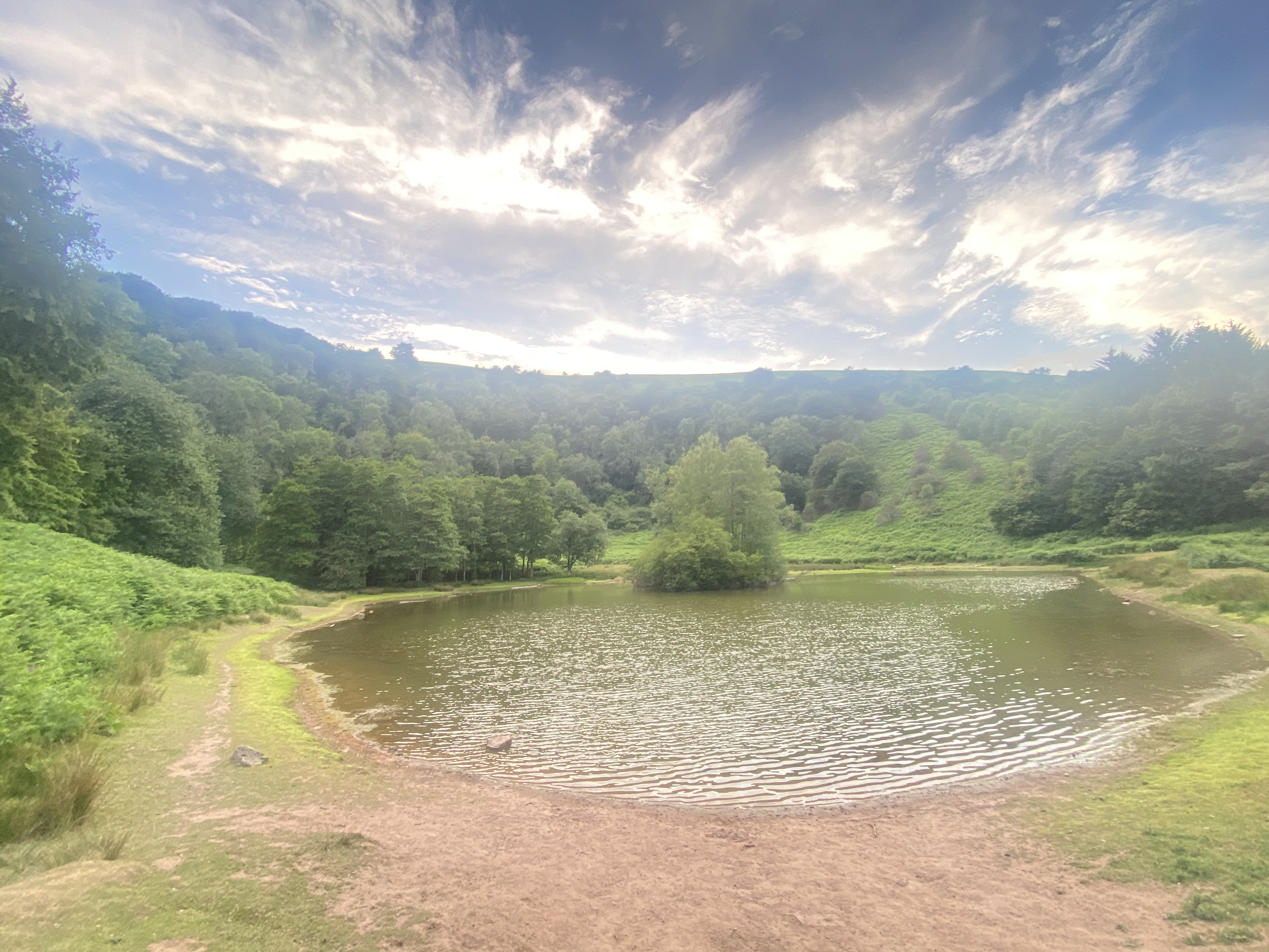 Peaceful Natural Landscape